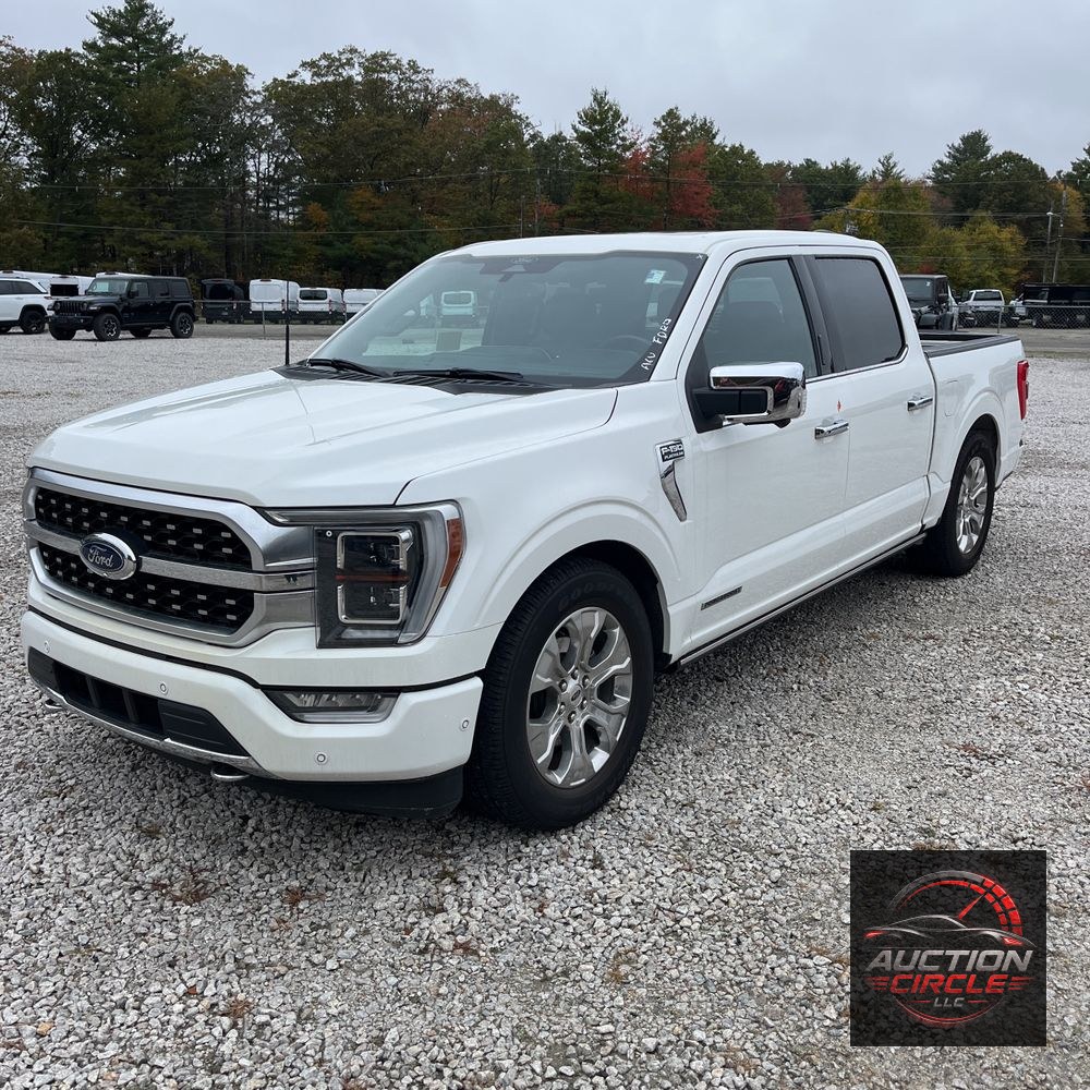 2022 Ford F-150 Platinum
