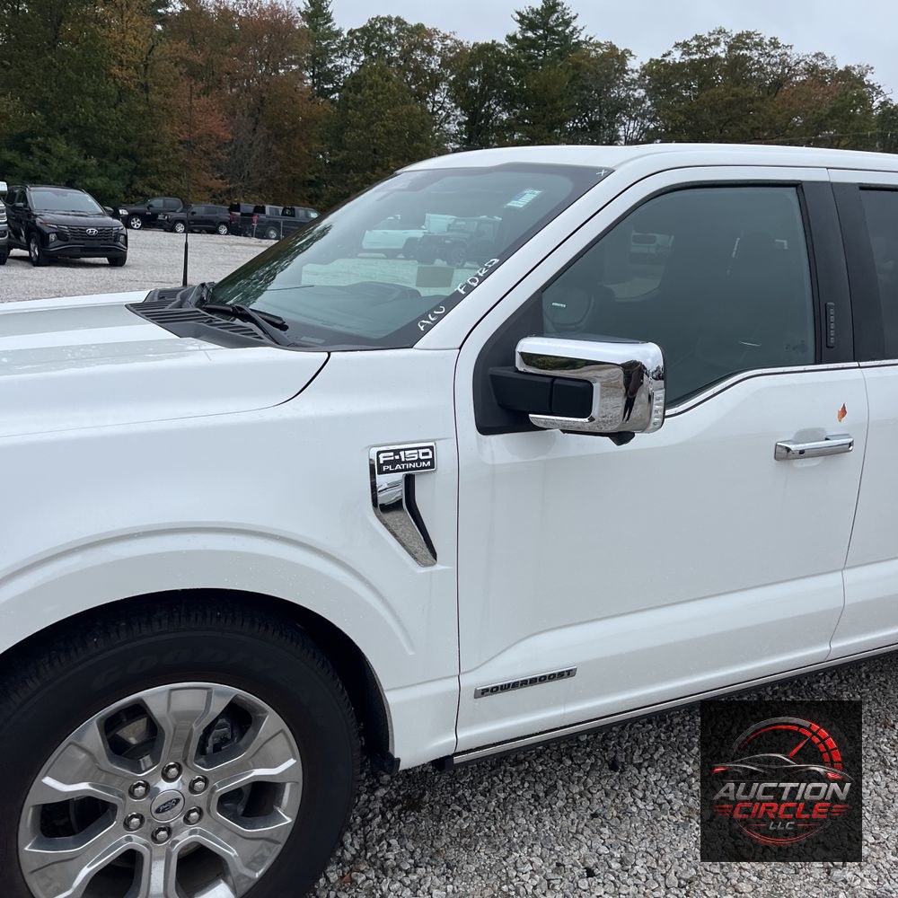 2022 Ford F-150 Platinum