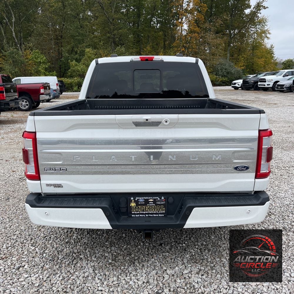 2022 Ford F-150 Platinum
