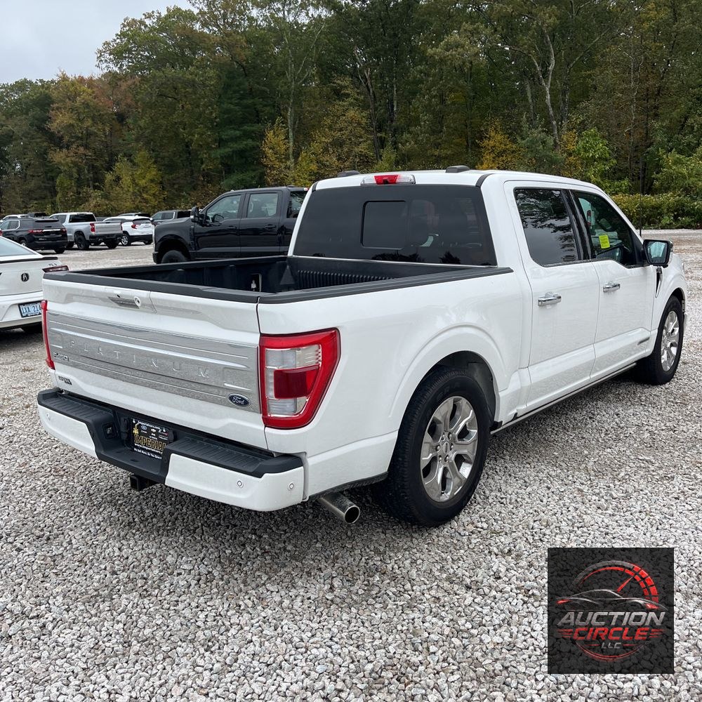 2022 Ford F-150 Platinum