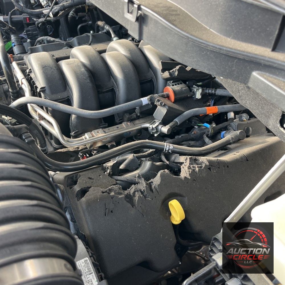 2024 Ford F-150 Tremor