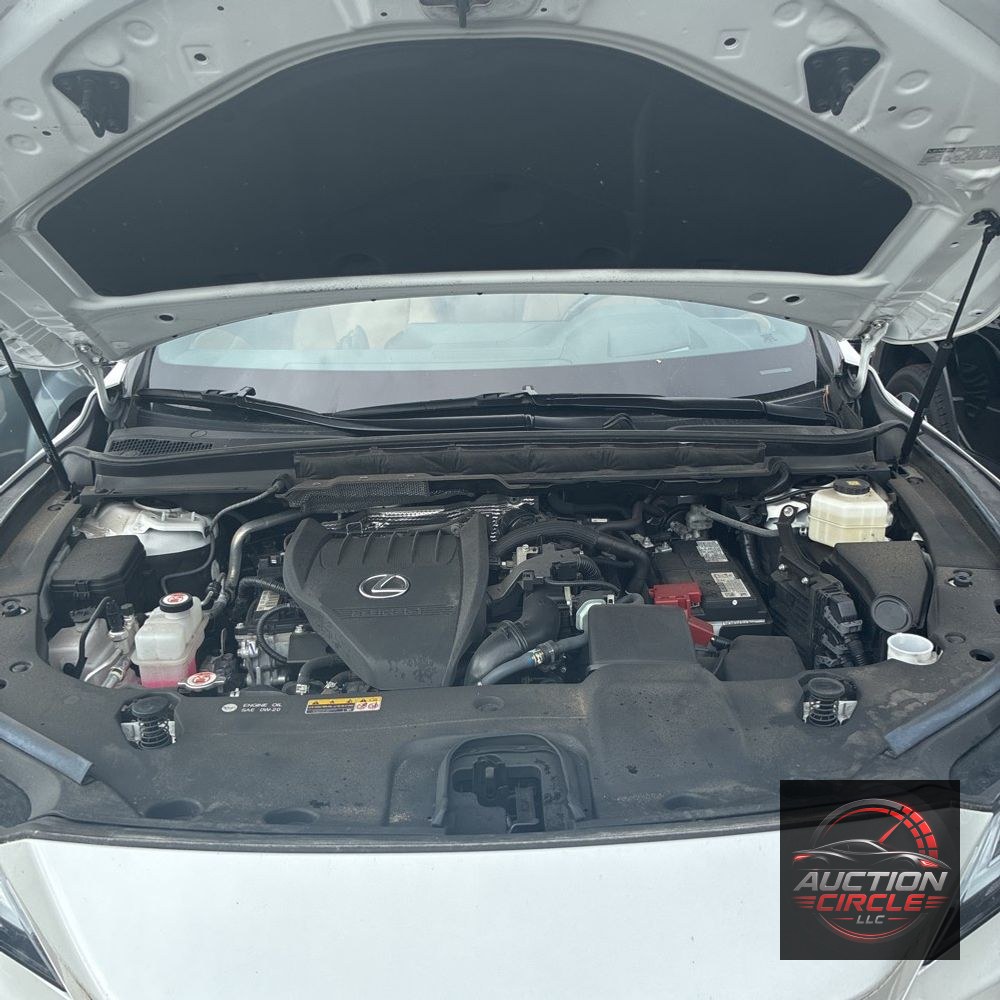 2024 Lexus RX 350 Premium+