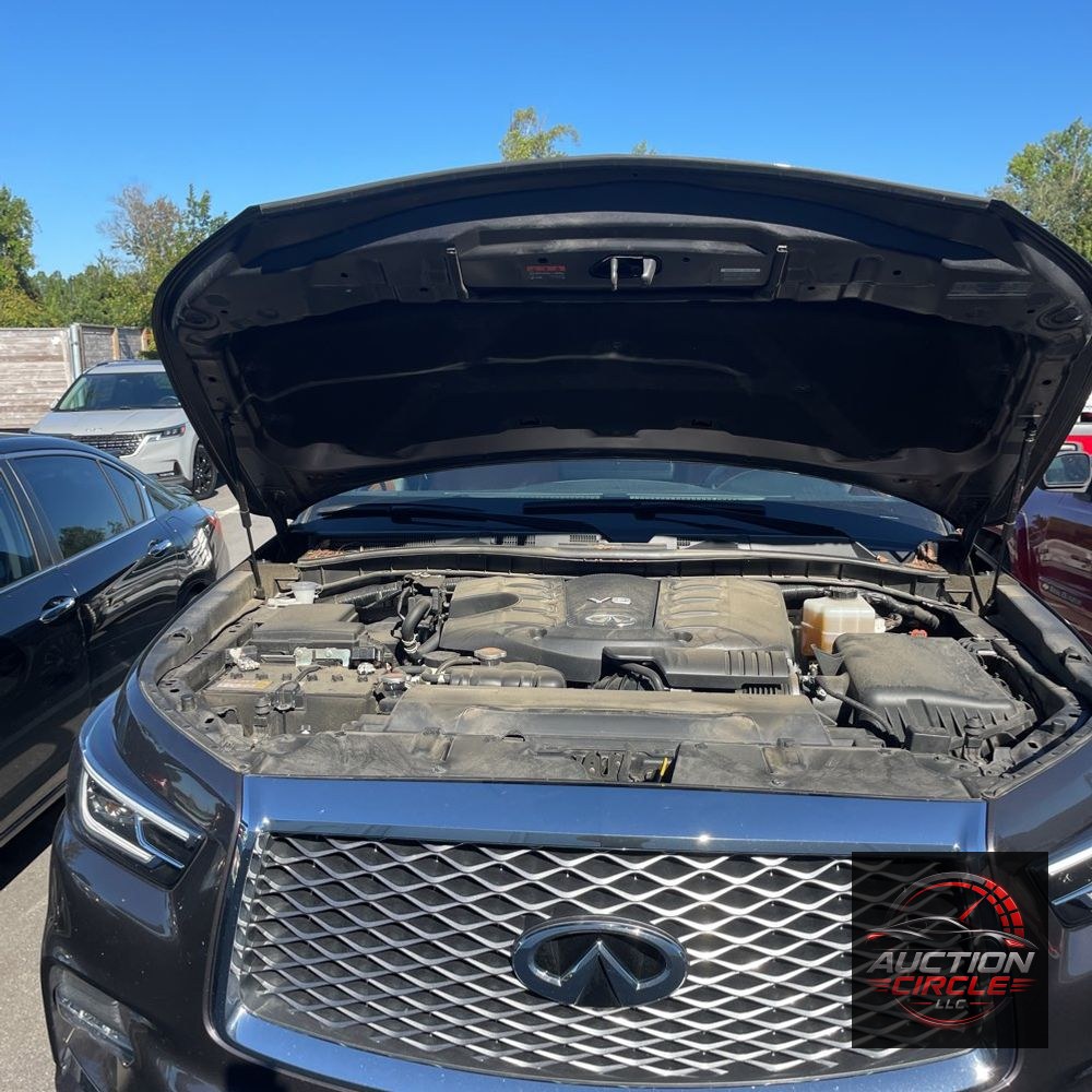 2023 INFINITI QX80 Sensory